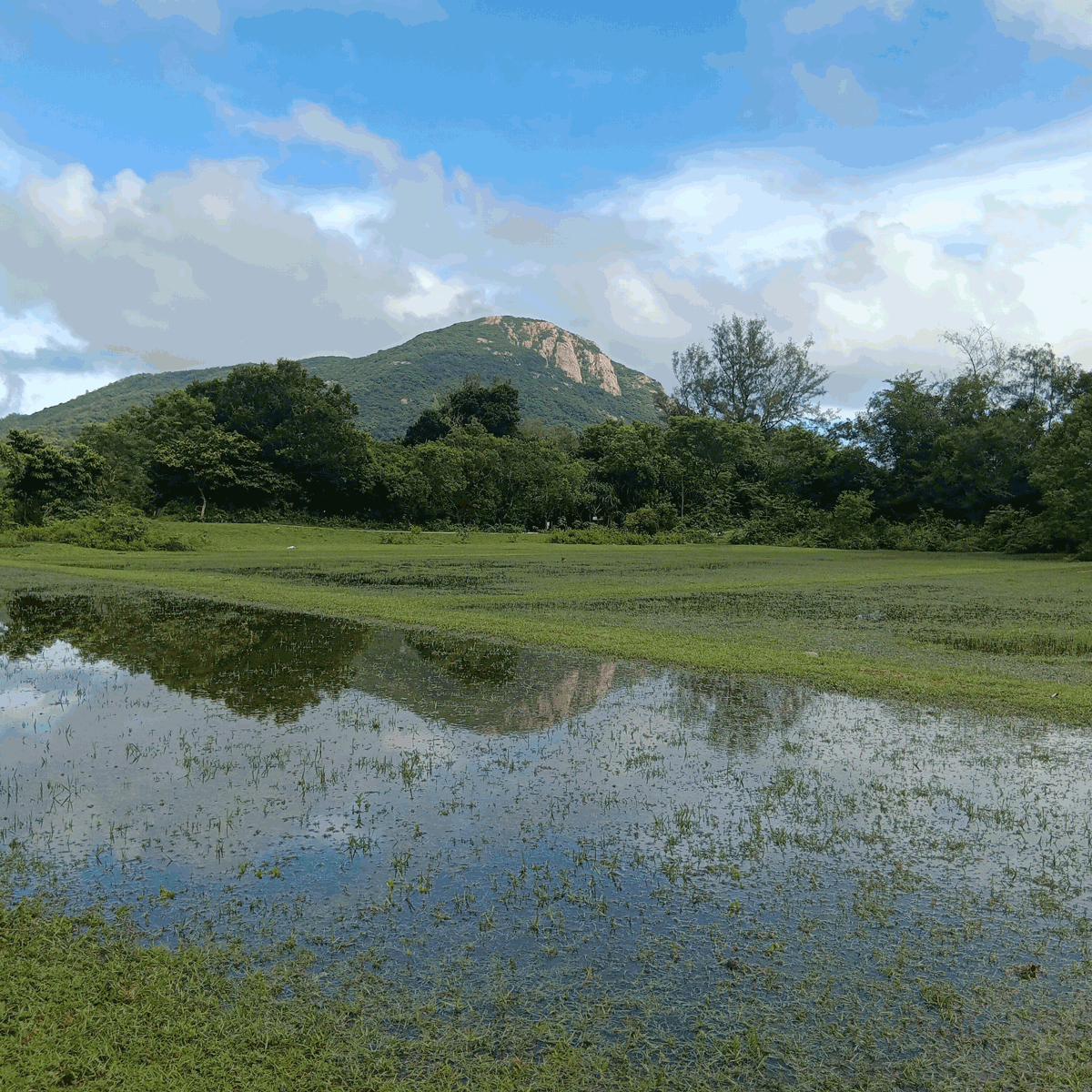 South Lantau Life -- we live in a beautiful world