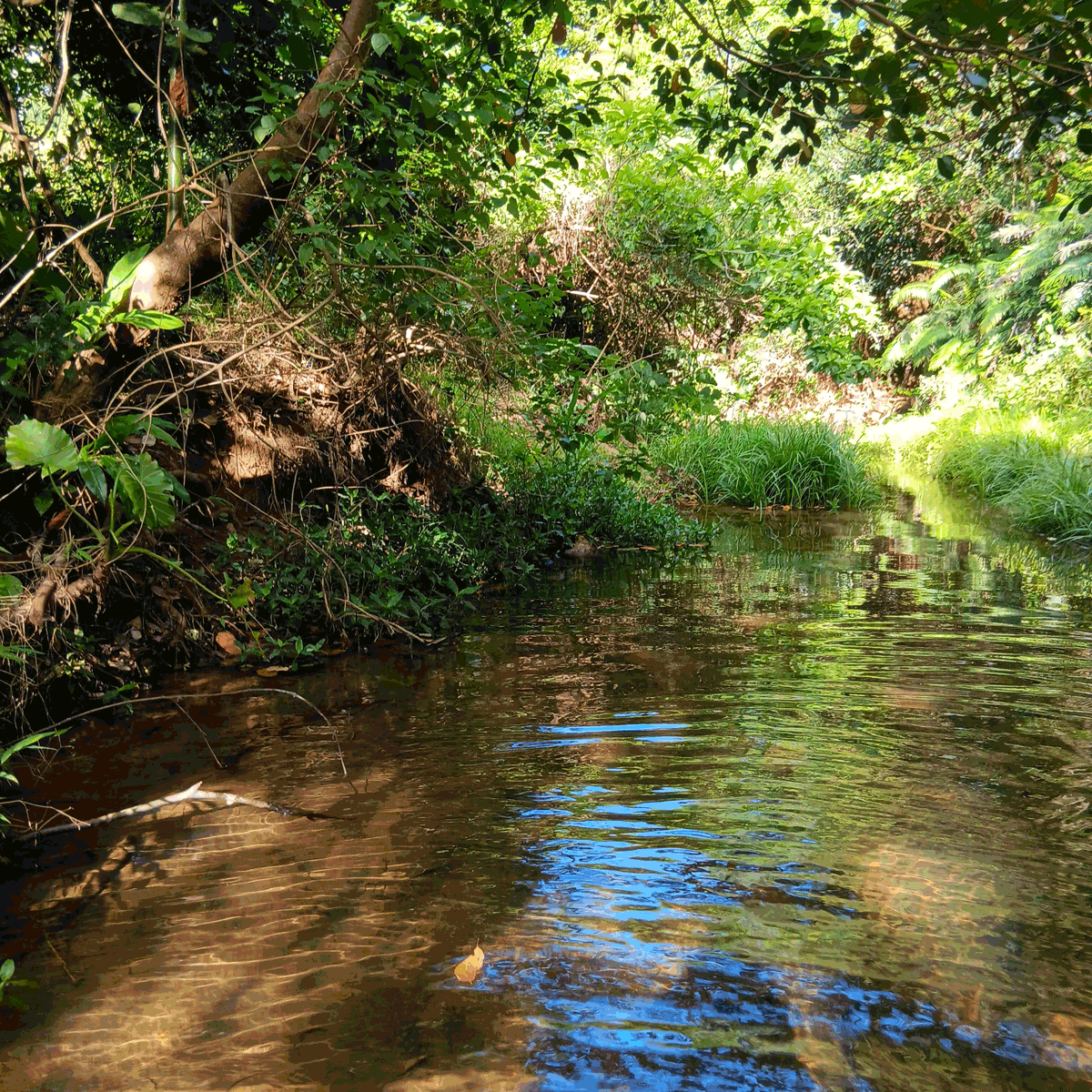 South Lantau Life -- we live in a beautiful world