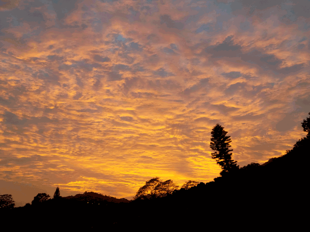 South Lantau Life -- we live in a beautiful world