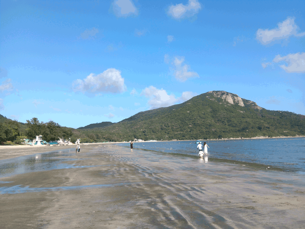 They said yes -- beach wedding photos