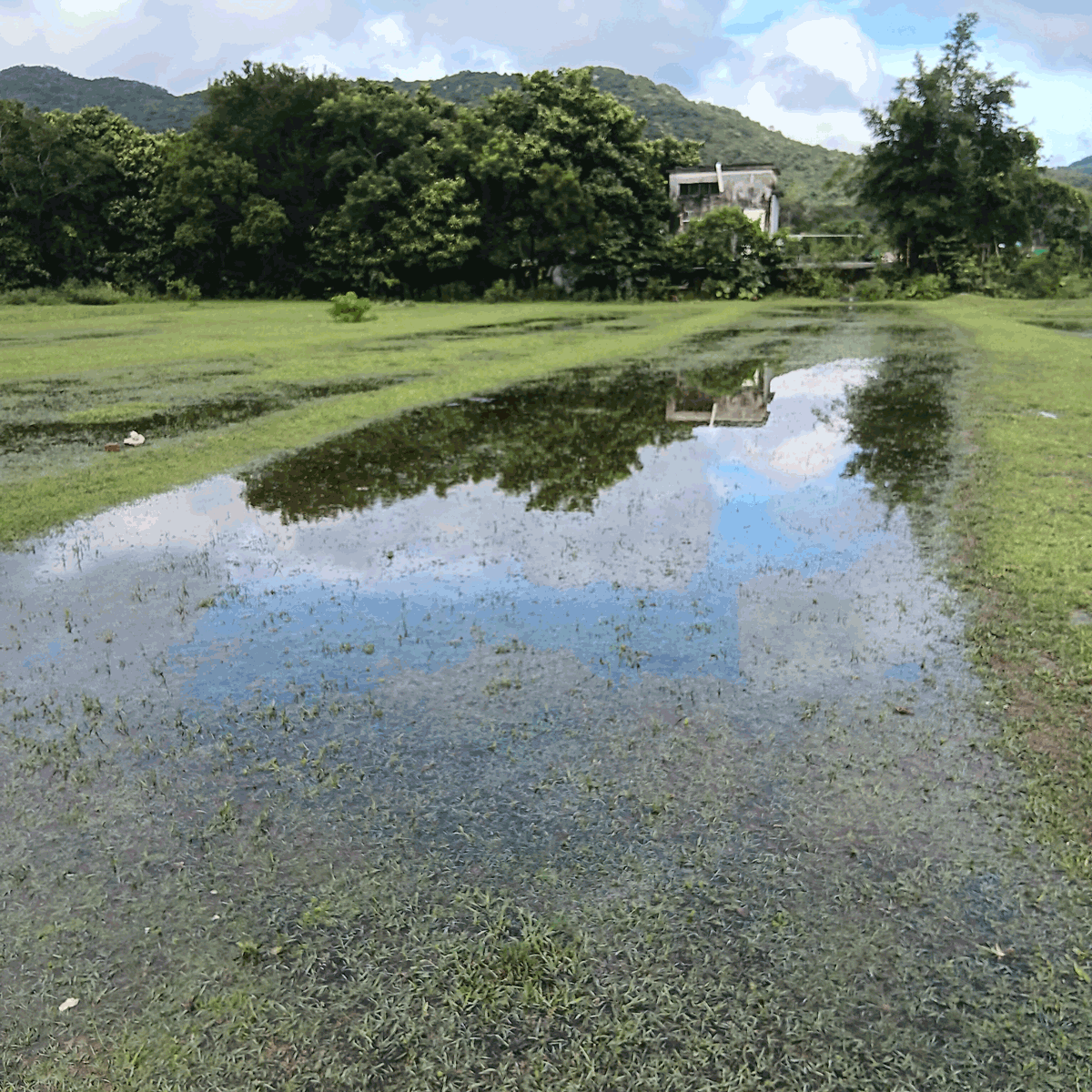 Reflections in nature