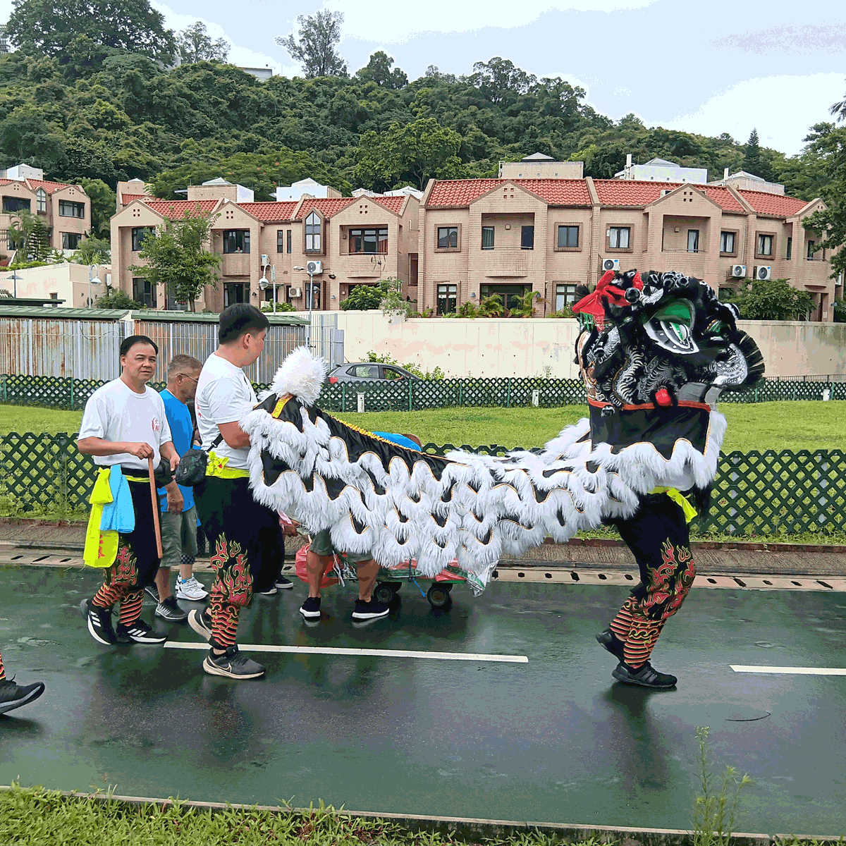 Mui Wo Lion Dance