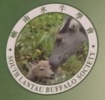 South Lantau Buffalo Society